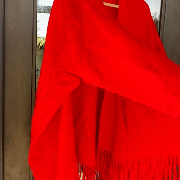 COPY - Echo Winter Shaw - Picture 3 of 3